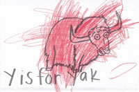 yak